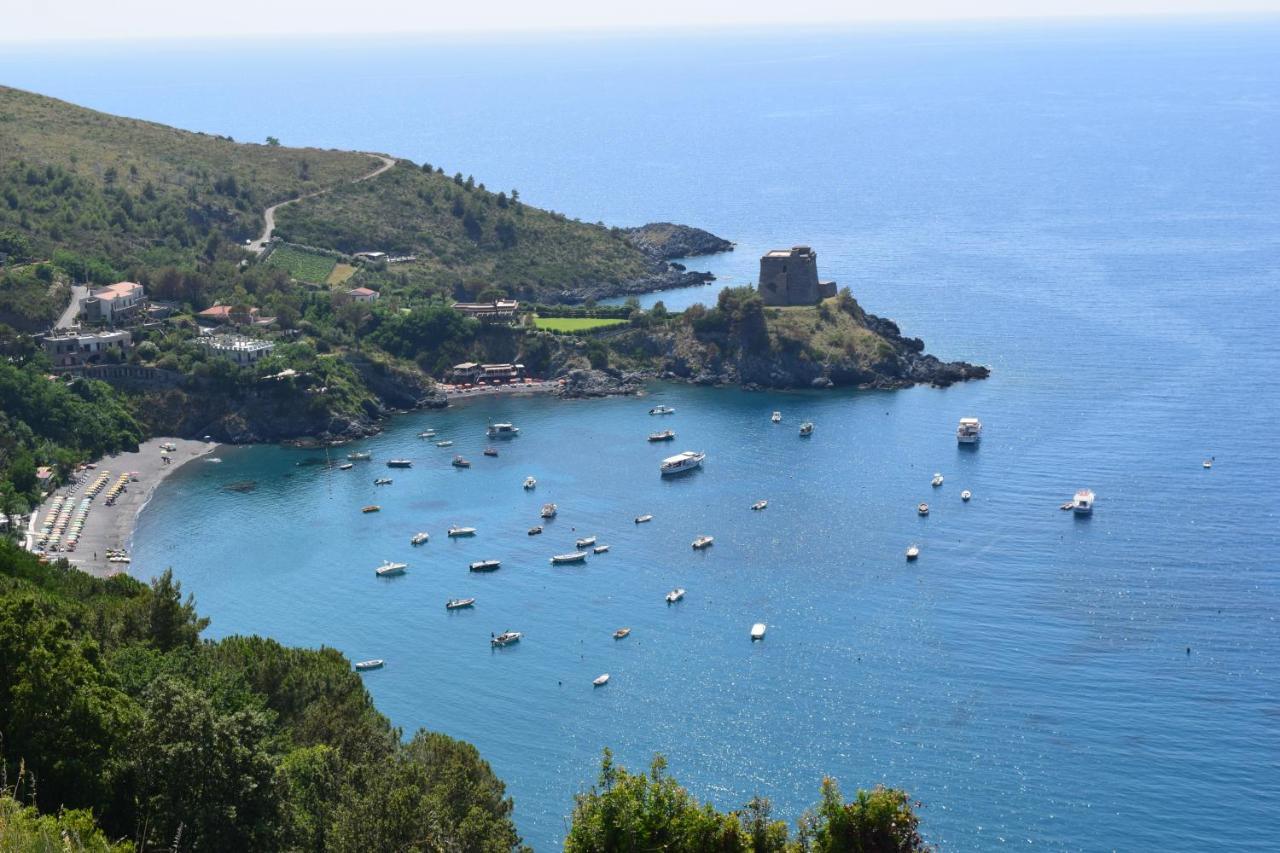 Bed & Breakfast Domus Pepe Scalea Exterior foto